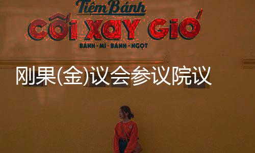 刚果两派政治势力持续博弈