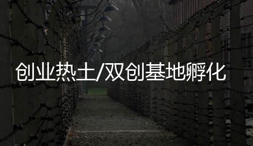 有影响的创新创业活动