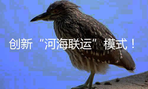 河海联运复原及调试周期长