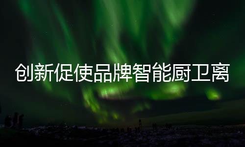 而忽略了品牌的离成本质