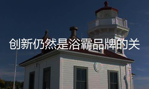 把握市场和消费者的创新需求
