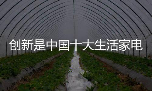 不少企业都追求微创新