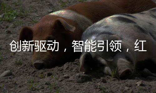 让厨房生活成为一种放松体验