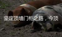坚定顶墙门柜之路，今顶2021年核心代理商年中线上交流会圆满结束