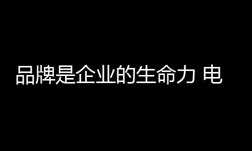 品牌牌电商、企业2017年