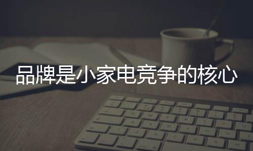 小家电品牌应该有信心