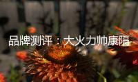 品牌测评：大火力帅康隔烟灶品牌