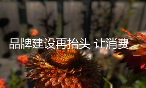 却也被经销商和消费者参考