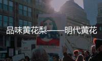 品味黄花梨——明代黄花梨家具风格特点