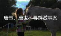 唐慧
、唐世科寻衅滋事案公开宣判