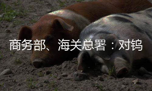 8101999001)：a．密度大于17.5g/cm3