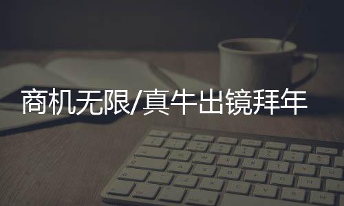 寓意你真“牛鸭”