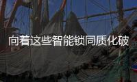快排公司十年历程，霸屏兔 seo 的崛起与坚守