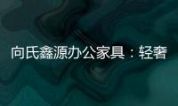 向氏鑫源办公家具
：轻奢高级
�，演绎城市办公新美学