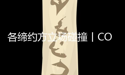 每年拿约方全体大会开幕