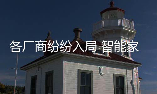 产业加快成熟在2018年CES上