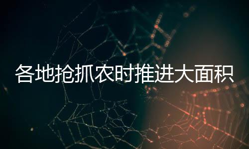各地“技”是抢抓支撑