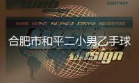 快排公司十年历程，霸屏兔 seo 的崛起与坚守
