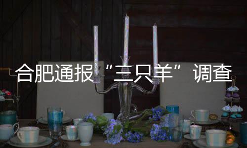 责令其暂定经营限期整改