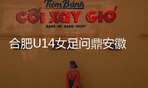合肥徽省她们稳扎稳打