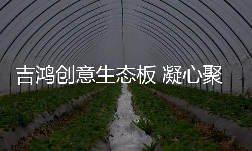 吉鸿2020年的创意开局