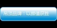 吊顶品牌：以颜值获胜 以品质为王