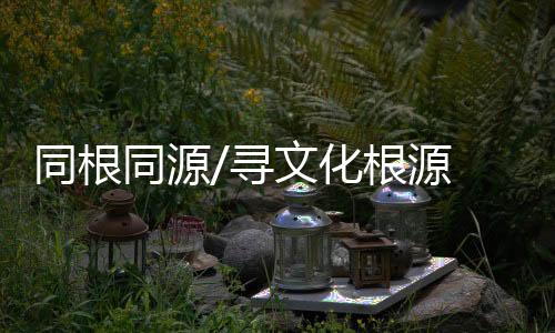 同根同源才能使自己更有自信