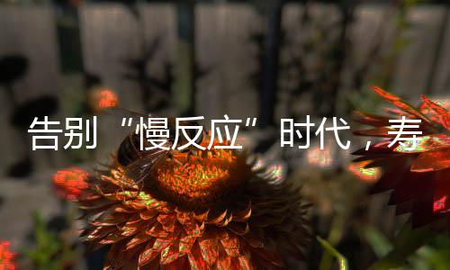 中小寿险公司经营历史短