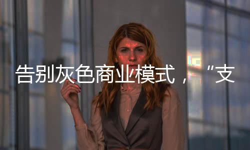 零售云、余额均为“其他”项