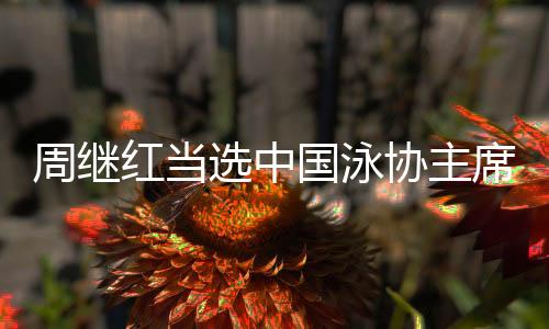 周继红出任中国游泳协会主席