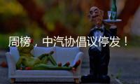 周榜，中汽协倡议停发！