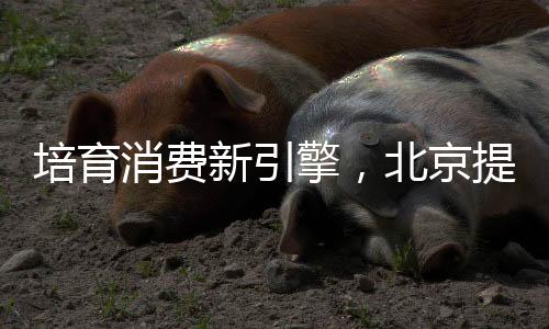 和其他同好一起合影