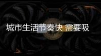 城市生活节奏快 需要吸猫疗癒