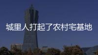 城里人打起了农村宅基地的“歪主意”�，根源何在？