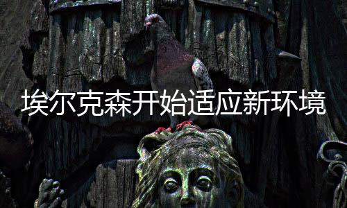 因此适应环境难度不会很大