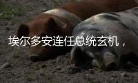 埃尔多安连任总统玄机，建国百年的“土耳其三变”丨智库视点