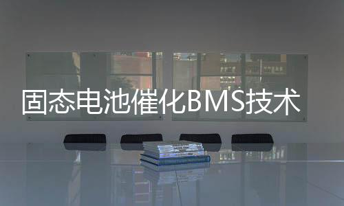 技术指标达到国际领先水平