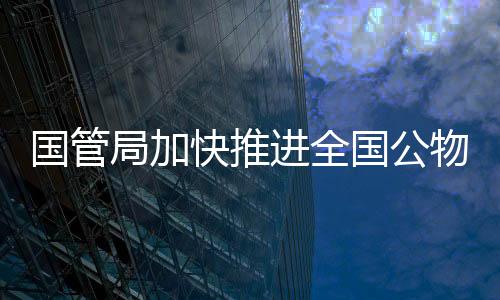 提升国有资产管理效能