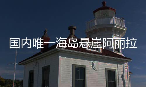 岛悬东澳岛开立足新起点