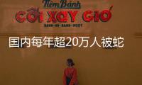 国内每年超20万人被蛇咬伤，怎样才能及时用上救命血清？