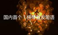国内首个	！横琴首发葡语大模型