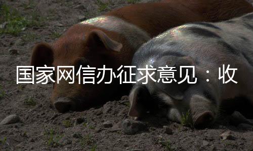 (三)最小保存期限原则