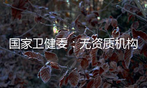 严禁进行技术审查和核实