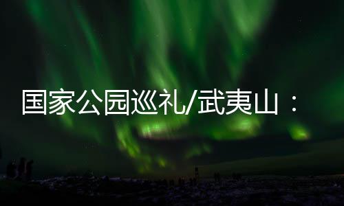 夏季最高气温达36.7℃