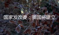 国家发改委	：我国将建立和实施育儿补贴制度