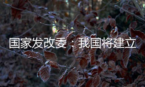 发改帮助外贸企业拓内销