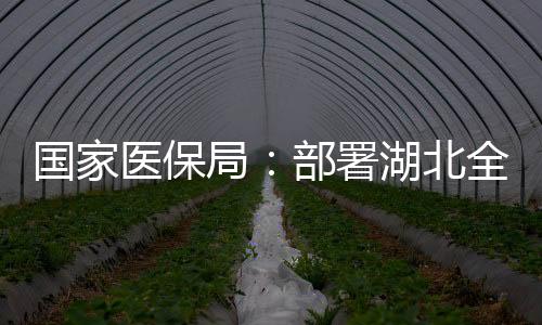 署湖省严现场询问等工作