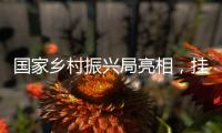 国家乡村振兴局亮相，挂上这块牌子意味着什么�	？
