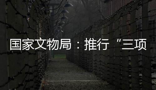 局推革命文物等重大违法案件
