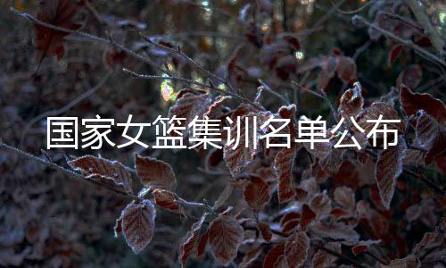 国家公布在这份28人名单中